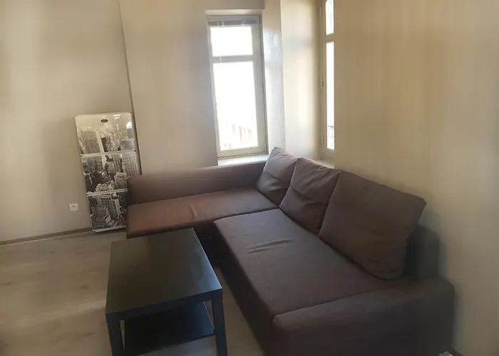 アパート Au Coeur De ディジョン